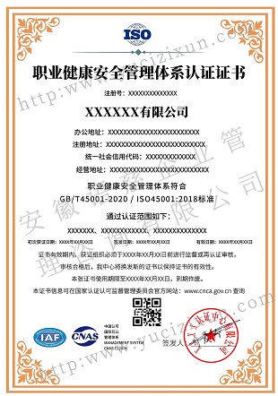 ISO45001職業(yè)健康安全管理體系